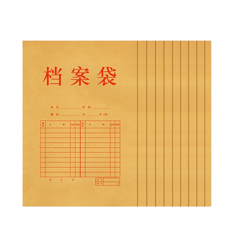 文件袋 10个装