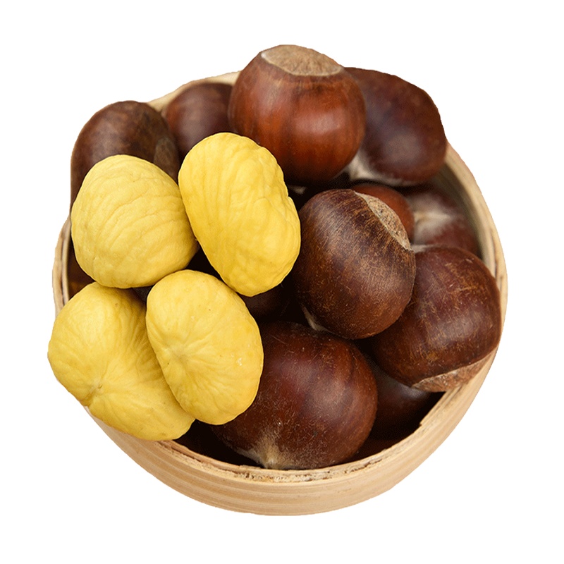 [鲜板栗5斤装大粒一元硬币大小]2019年下树生新鲜锥栗非即食生鲜毛栗散装
