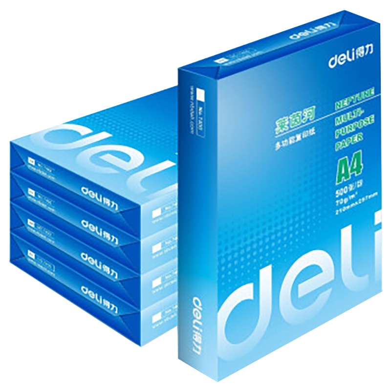 得力莱茵河 70g A4 复印纸 中高档打印纸 500张/包 5包1箱(整箱2500张)