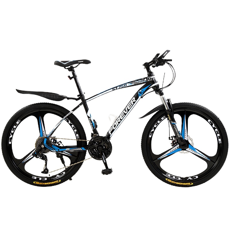 上海永久自行车 辐涤轮24寸21速