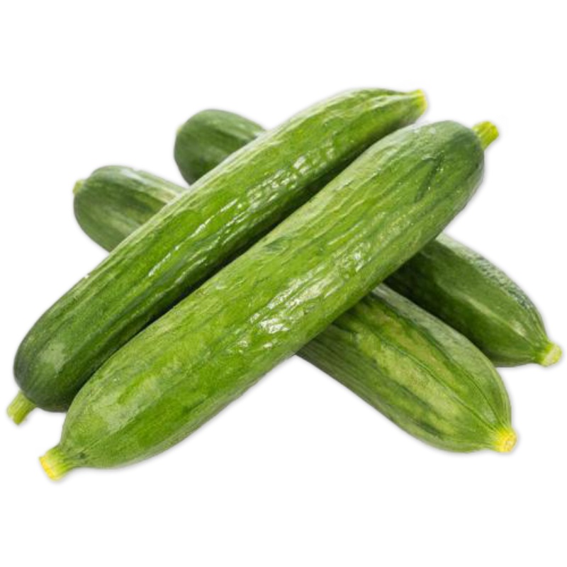 黄瓜现摘新鲜小黄瓜生吃小黄瓜水果小黄瓜热卖荷兰小青瓜3斤水果小黄瓜 青瓜新鲜蔬菜生吃孕妇非白玉东北旱黄瓜