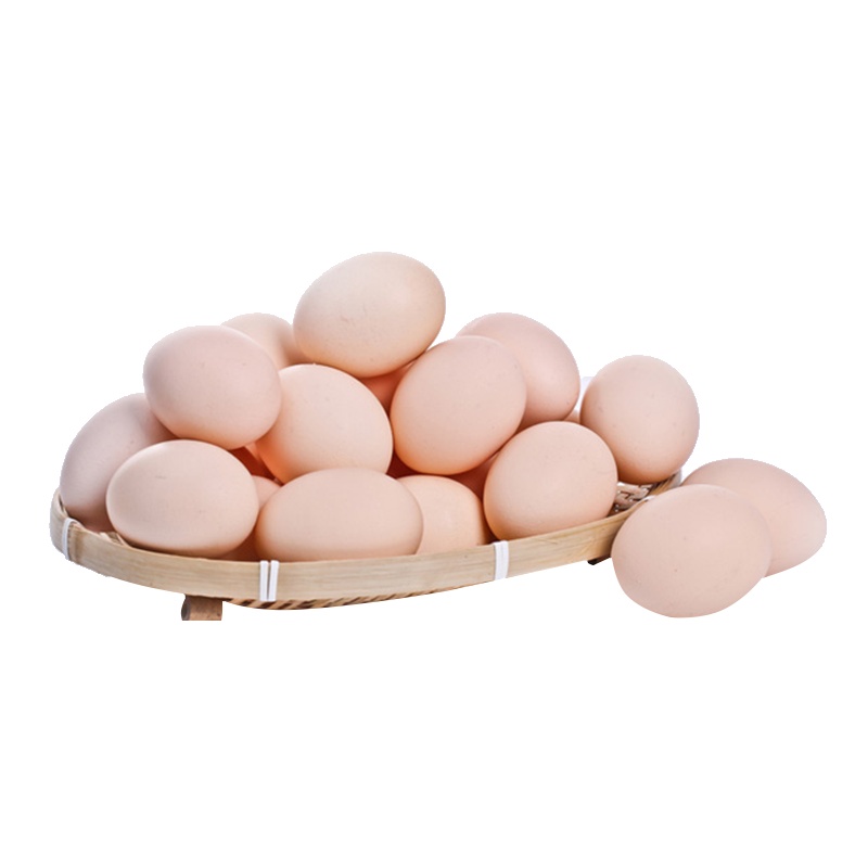 晋龙鲜鸡蛋40枚 顺丰发货现捡现发谷物喂养 农家自养