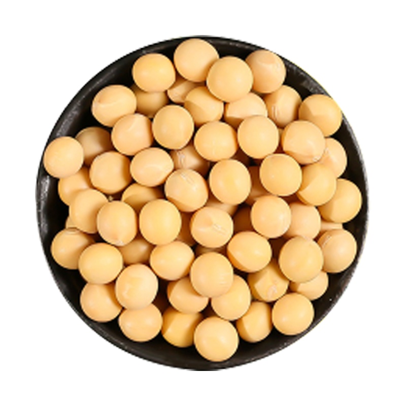 绿农晓镇 黄豆500g 东北非转基因黄豆 高蛋白黄豆 打豆浆