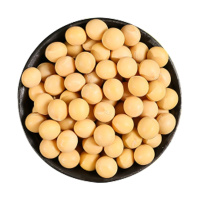 绿农晓镇 黄豆500g 东北非转基因黄豆 高蛋白黄豆 打豆浆