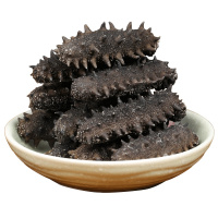 神龙岛7A淡干海参50g 10-15只 刺参海参干货