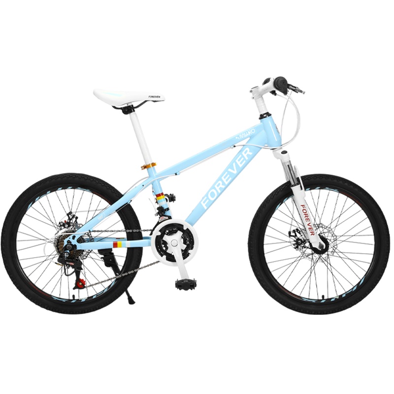 永久牌山地自行车20/22寸变速男女孩中学生青少年越野P8