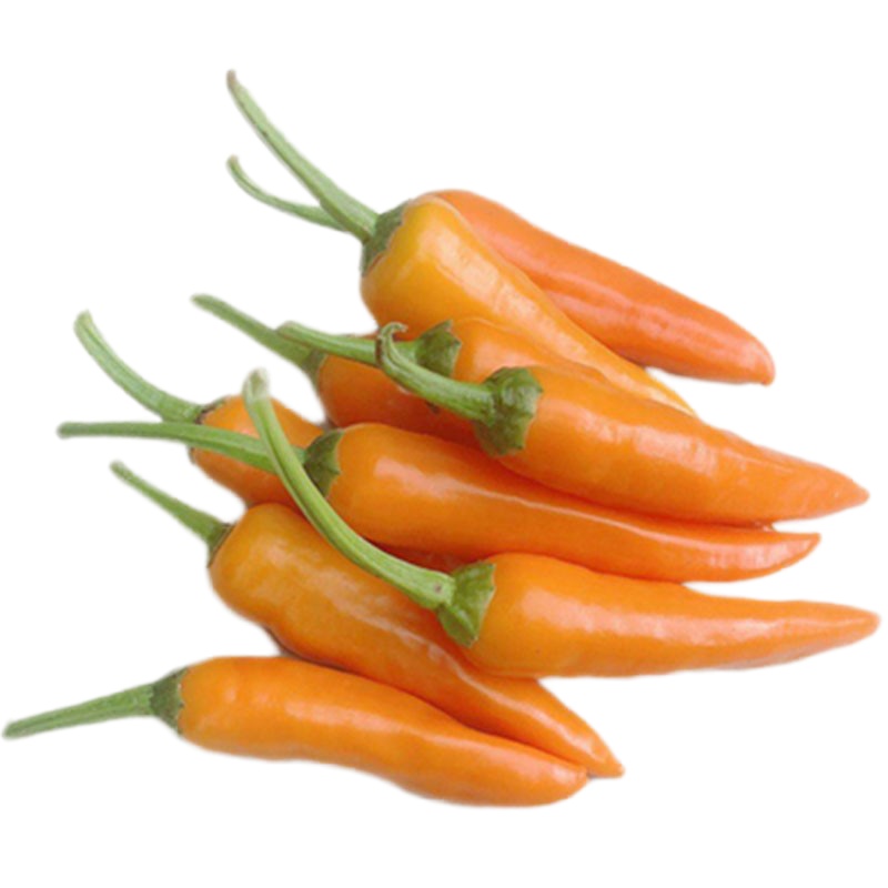 1kg 永安黄椒 米辣泡椒特产香辣黄辣椒新鲜农家自种尖椒剁椒