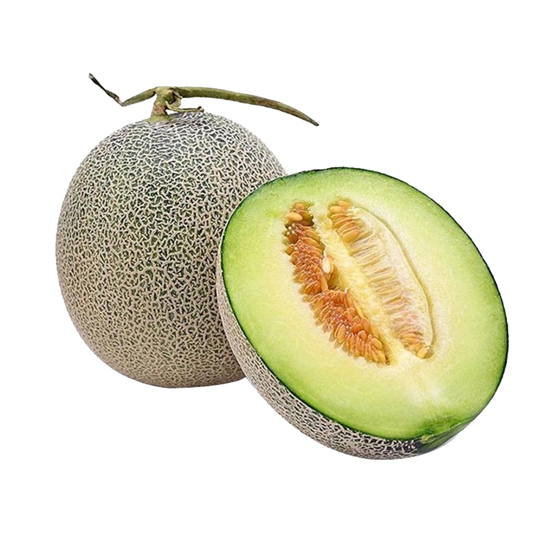 烟台海阳网纹瓜4.5-5斤 蜜瓜香瓜甜瓜 约1-2个 当季新鲜水果