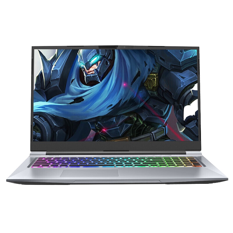 机械革命(MECHREVO)深海泰坦X8Ti-G(定制版)17.3英寸商务电竞游戏本笔记本电脑(i7-9750H 16G 512GB GTX1660Ti独显 72%色域 60Hz)