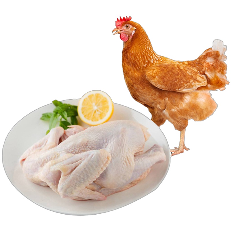 大用 童子鸡450g