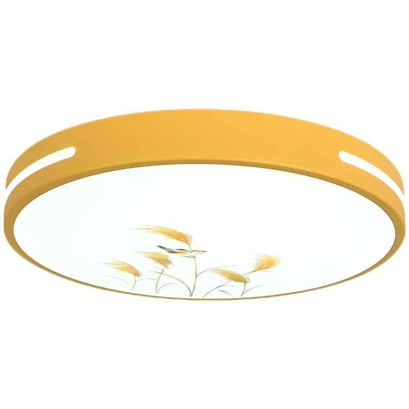 北欧LED吸顶灯圆形简约儿童房卧室灯卡通创意女孩男孩房间灯