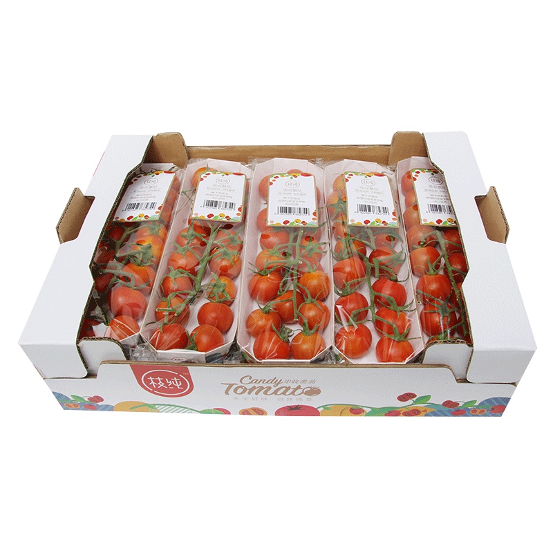 枝纯串收番茄开顶箱/10盒(红果) 198g*10 新鲜生吃