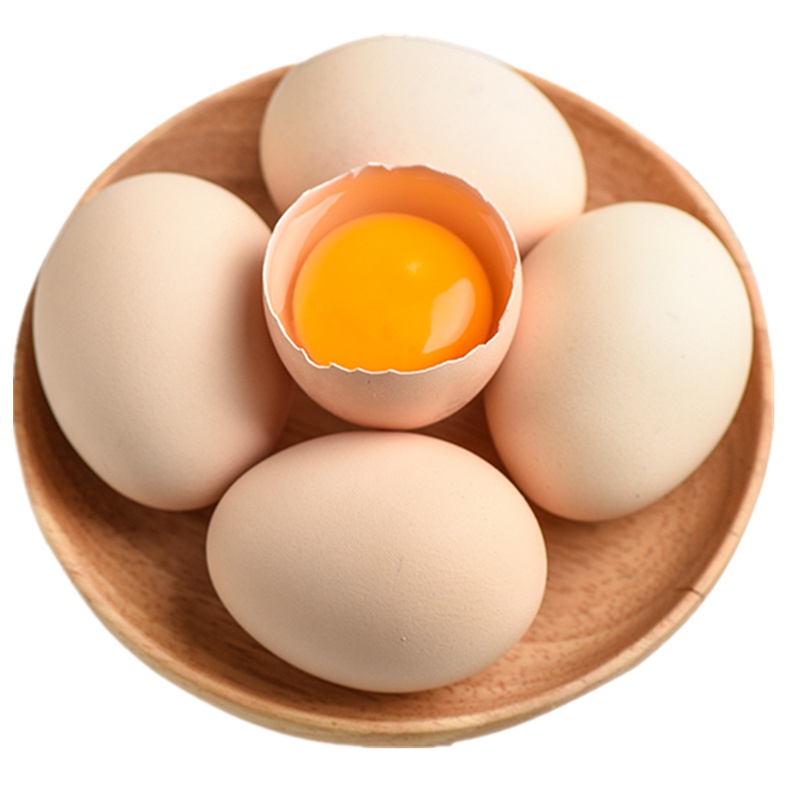 [晨旭]正宗农家散养新鲜土鸡蛋10枚装 纯农村树林自养10枚柴鸡蛋笨鸡蛋草鸡蛋