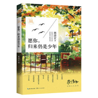 愿你,归来仍是少年(林清玄启悟人生系列)当代散文集 林清玄散文全彩插图本 选篇包括白雪少年 鸳鸯香炉 红心番薯生命的化妆