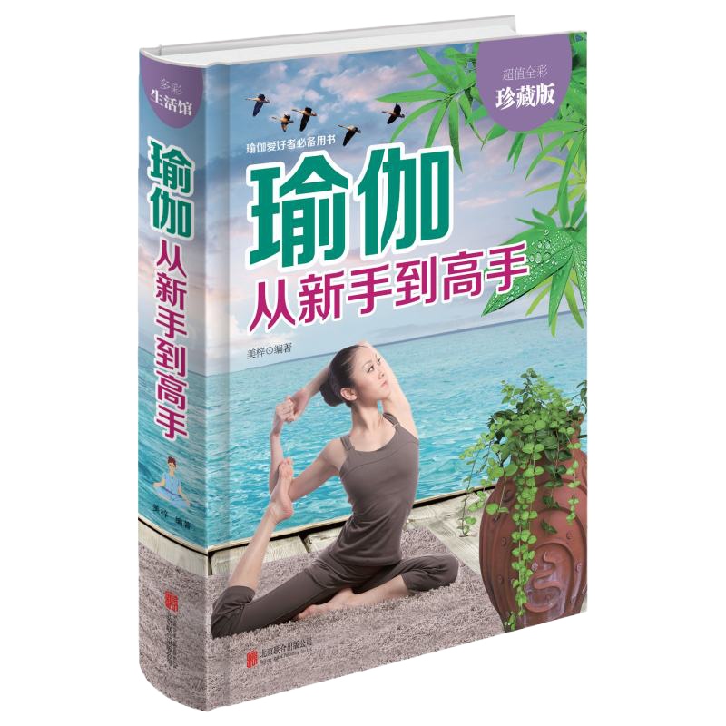 正版瑜伽从新手到高手 瑜伽书籍 初级入零基础教程大全图解 瘦身减肥初学者 阴瑜伽普拉提教程健身书 女性书籍  书