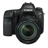 佳能（Canon）EOS 6D2 单反相机全画幅套装（EF 24-105mm f/4L IS II USM 单反镜头）