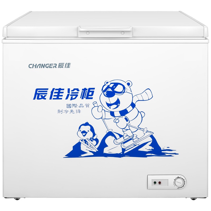 辰佳 (Changer)BC/BD(W)-227 227升冷柜冷藏冷冻转换家用商用大冰柜 白色
