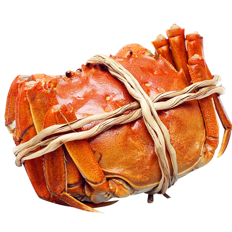 珍鲜汇 六月黄大闸蟹1.8-2.1两/只 6只装 鲜活实物螃蟹