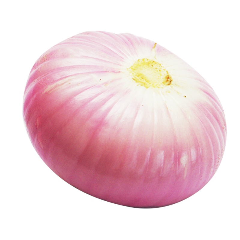 燎原绿色紫皮圆葱洋葱 无农残健康安全营养新鲜蔬菜 4斤顺丰