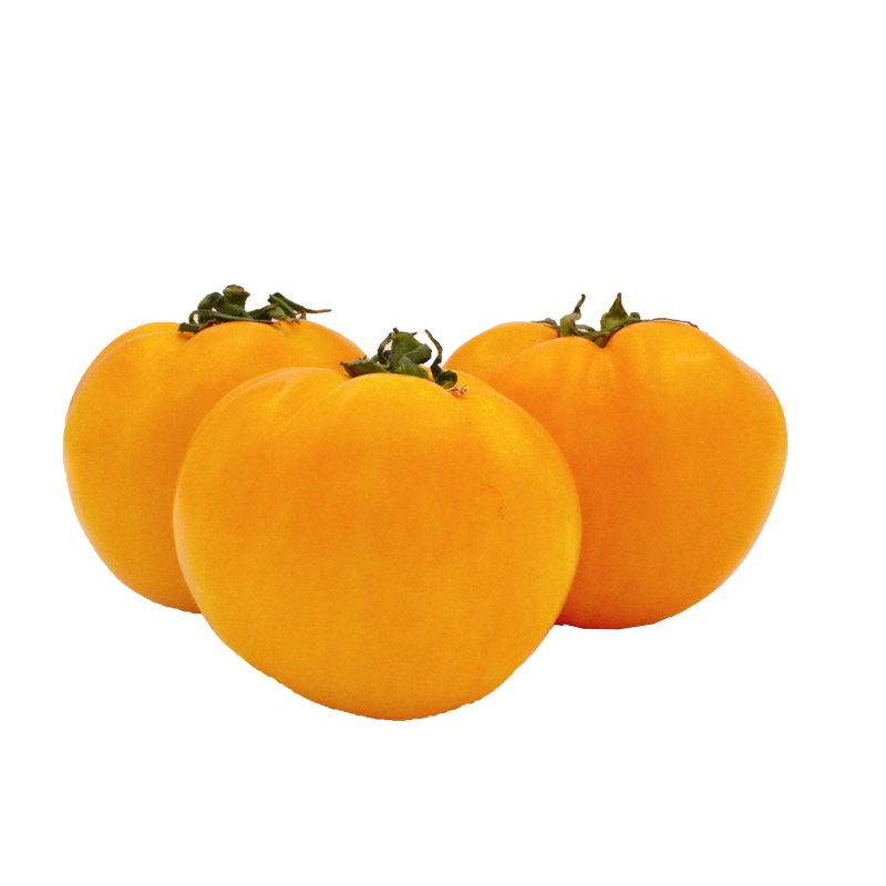 【中华特色】包头馆巴盟五原黄柿子3斤（6颗装） 西红柿番茄 新鲜水果