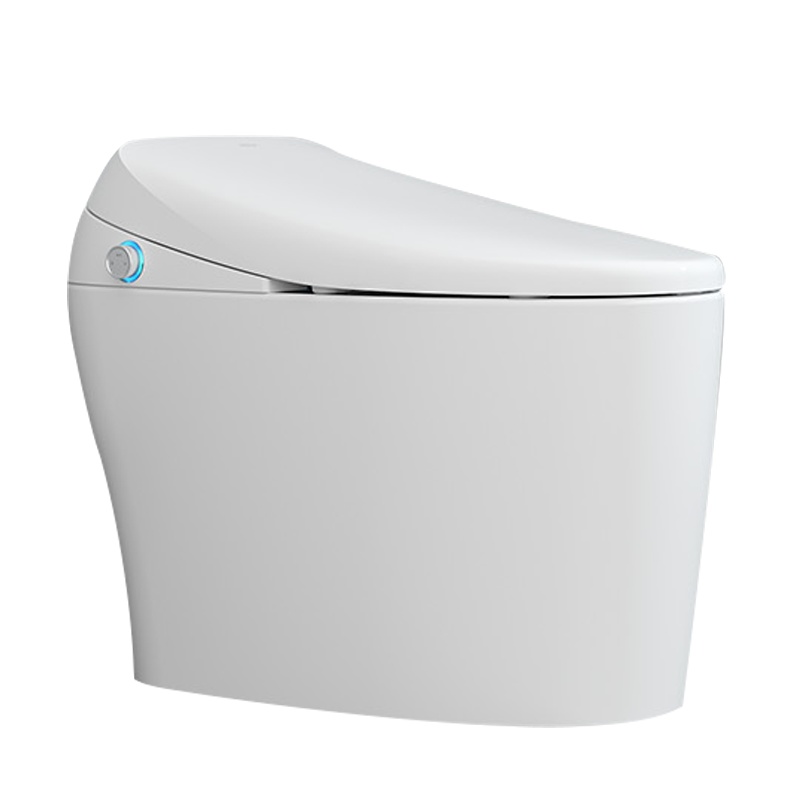 恒洁(HEGII)智能坐便器QE6智能马桶一体机 虹吸式多功能即热烘干自动冲水坐便器