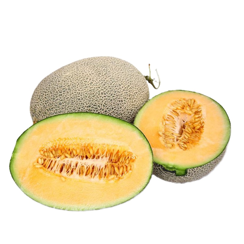 [沙漠蜜瓜]西州蜜17号_2枚8斤装