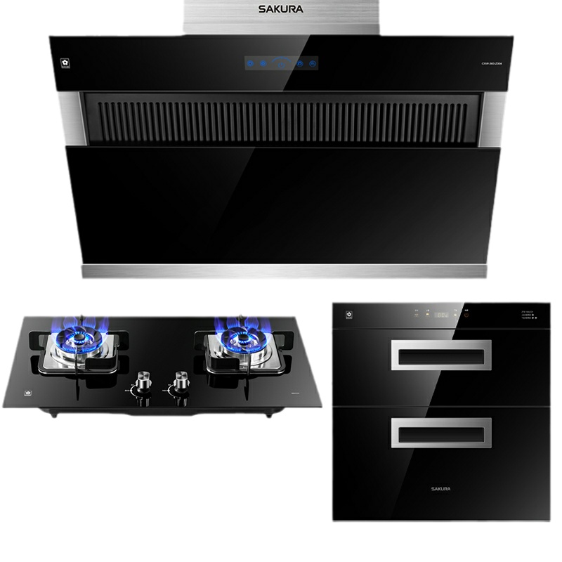 樱花(SAKURA)烟灶消三件套餐 19立方侧吸抽油烟机燃气灶具100升消毒柜厨电烟灶套装Z304+BBG09+C01