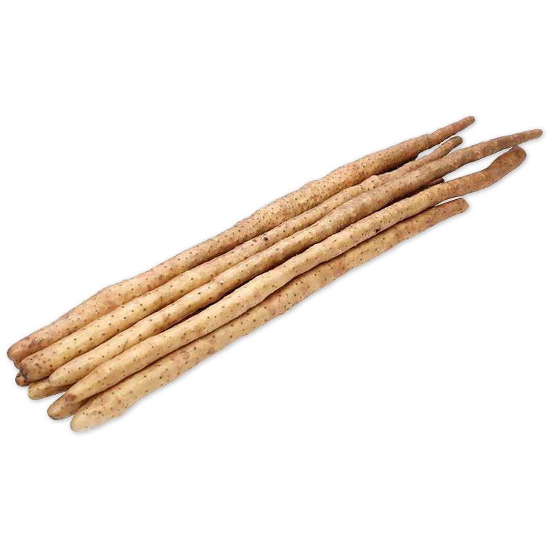 河南焦作铁棍山药温县5斤50-60cm淮山垆土新鲜营养特级铁杆山药铁棍山药新鲜蔬菜小白嘴垆土姜薯