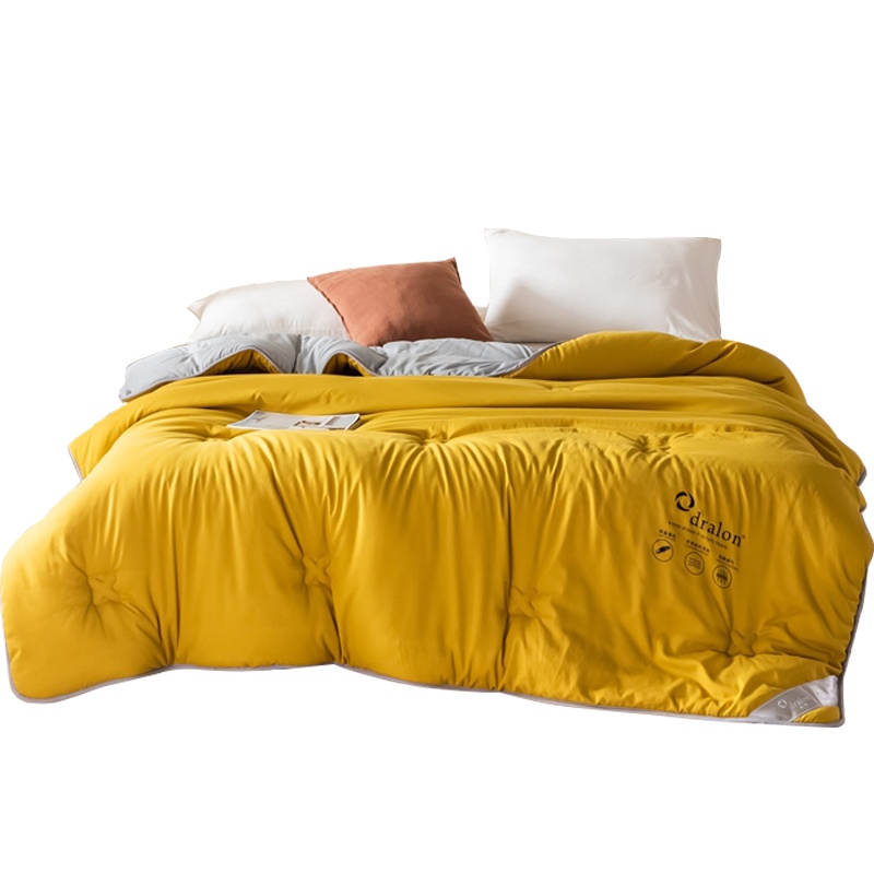 红豆 200*230cm双人柔软秋冬被双人春秋被学生四季被芯床上用品被子被芯