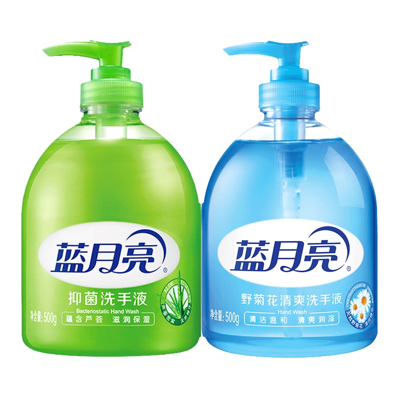 蓝月亮·(洗手液组合:芦荟洗手液500g×2+野菊花洗手液500g×2)×1 yjj单位:件