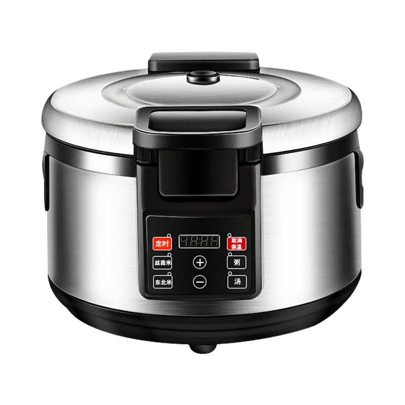 埃利斯(AILISI)19L智能西施电饭煲WF-D19