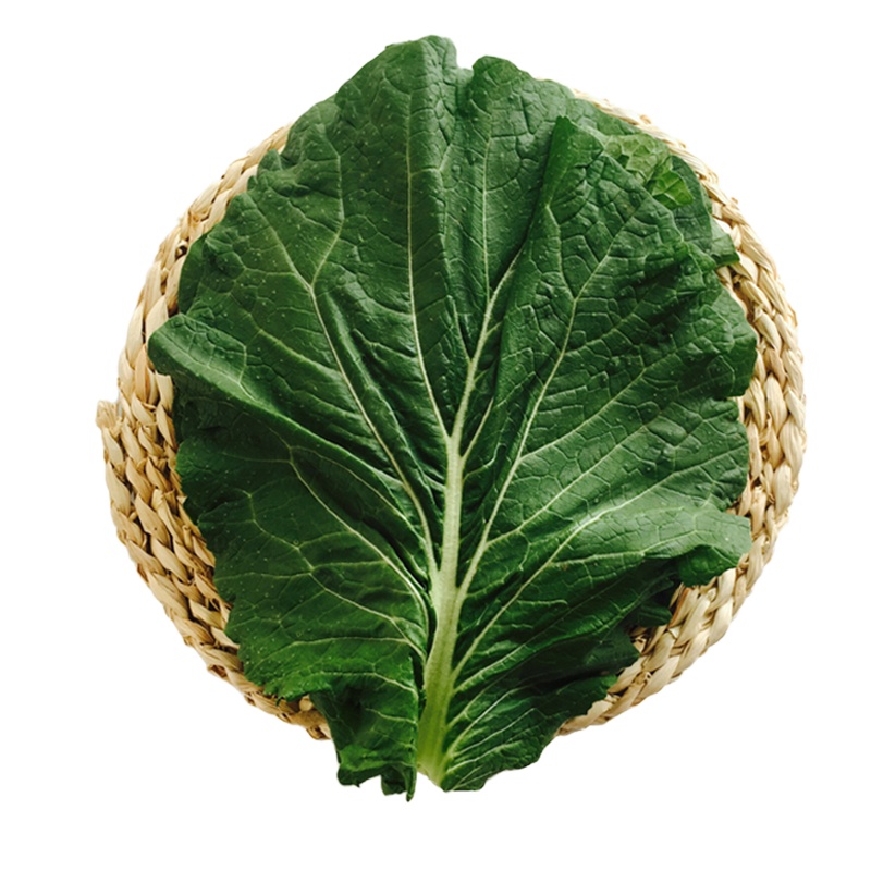 东北特产包菜饭包 新鲜大白菜叶20片 蘸酱菜绿白菜叶 生鲜蔬菜