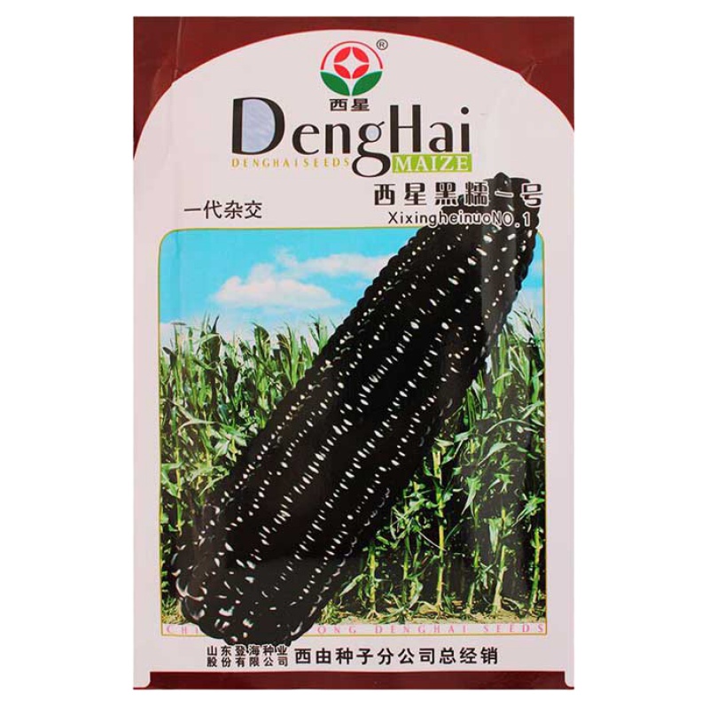 黑糯6号黑甜糯玉米种子黑糯玉米糯甜高产粘黑玉米种籽孑农业大田 西星黑糯一号黑玉米100g原装