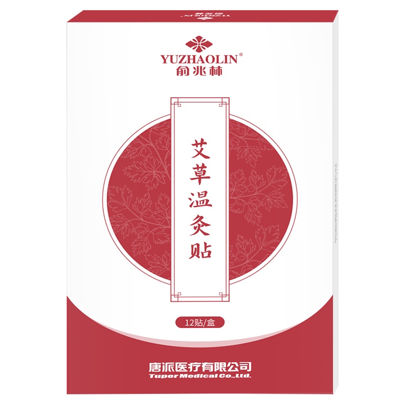 俞兆林(YUZHAOLIN)中医保健艾草温灸贴(12片/盒)2盒装艾草贴艾灸贴艾叶温灸贴热敷加热关节背部颈部脚踝膝盖