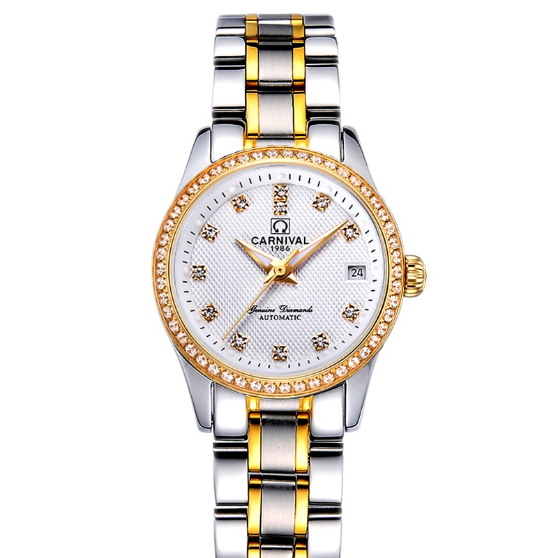 瑞士嘉年华Carnival正品新款手表自动机械表 女士休闲时尚满天星水钻商务女表夜光防水金属精钢腕表JNH8678
