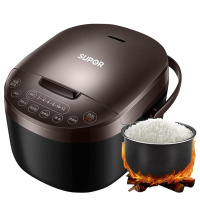 电饭煲锅3L升家用智能迷你多功能煲小型2-5人煮饭锅30FD972 时尚咖