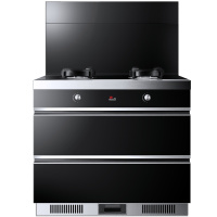 红日(RedSun)RSE03烟灶一体式集成灶油烟机燃气灶组合 (液化气)