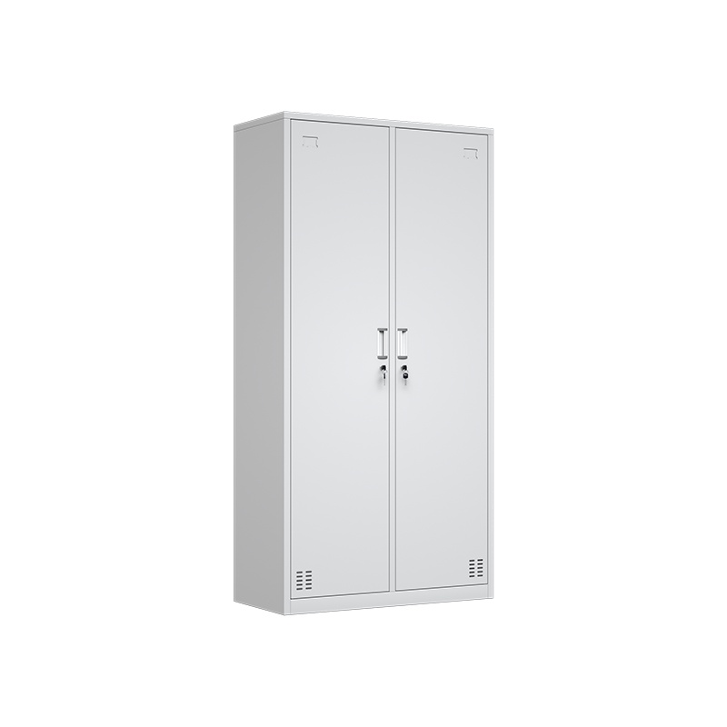 星岛更衣柜员工储物柜铁皮带锁储存柜健身房更衣室钢制宿舍柜子2门更衣柜