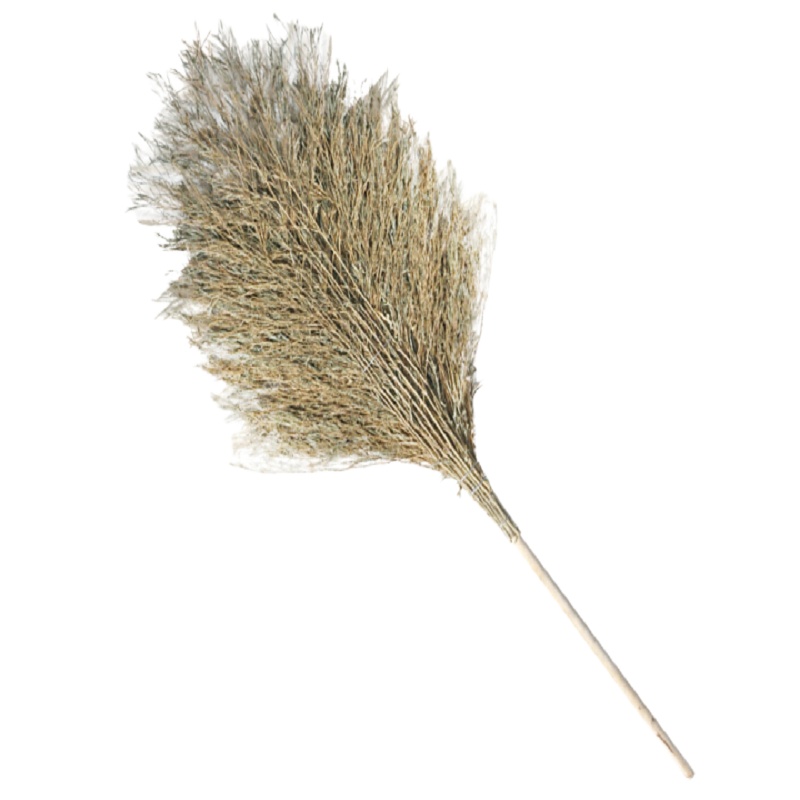 金浩宇 竹子扫把清扫庭院扫把大扫把木柄扫把