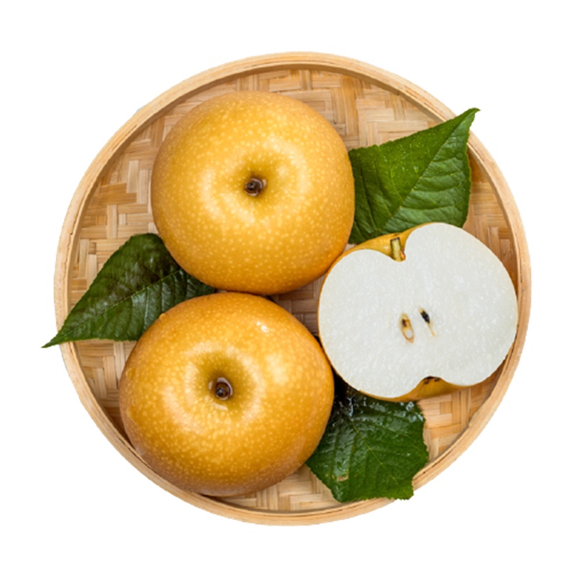 [西沛生鲜]山东秋月梨 净重4.5斤装 新鲜当季水果 现摘现发 香甜可口 西沛