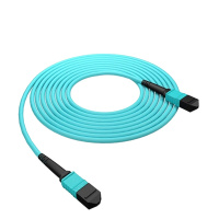 千天(QANTOP)光纤跳线 OM3万兆多模 40G光模块用集束光纤线 MPO-MPO母头12芯QT-GXTX431