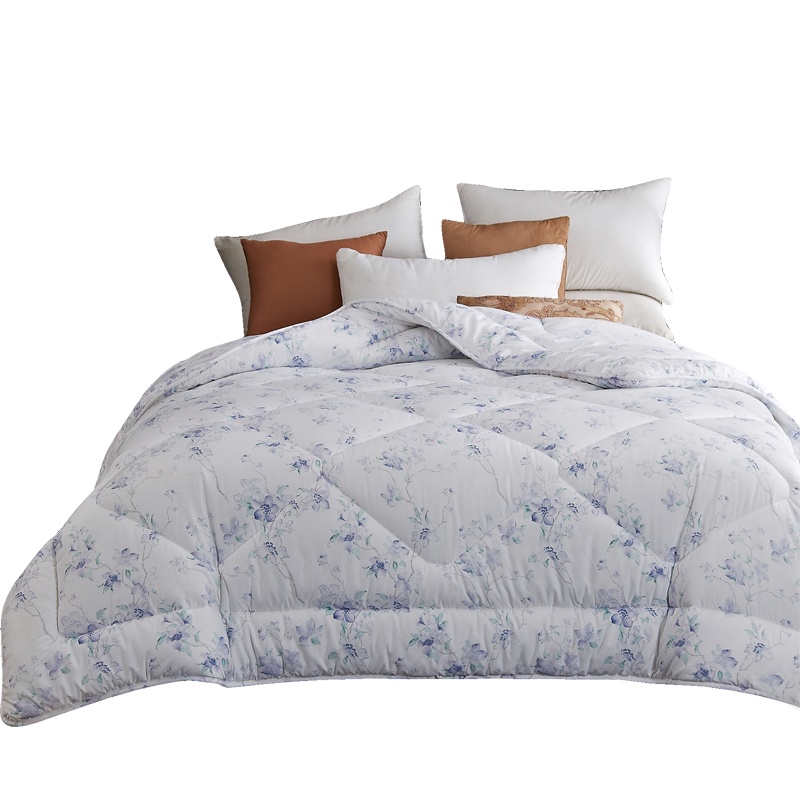 悠恋娜五星级酒店春秋被子单人双人学生宿舍磨毛冬被被芯