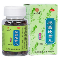 九芝堂 杞菊地黄丸 200丸 滋肾养肝 肝肾阴亏视物昏花