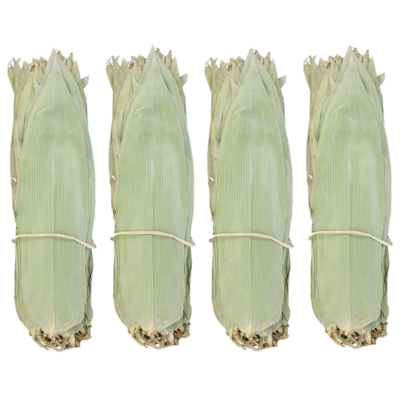 干粽叶送绳湿粽叶大粽叶新鲜鲜粽子叶烘干箬叶批发 干粽叶200片送绳【实惠装】