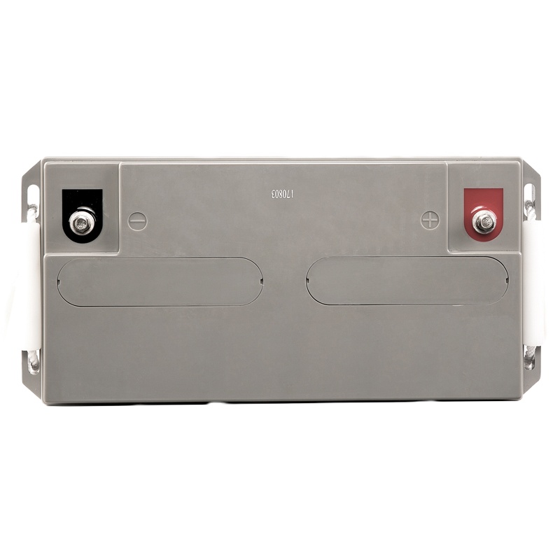 VISENCH 蓄电池 UPS电源 铅酸免维护蓄电池6FM65 65AH 12V EPS 直流屏专用(含安装)