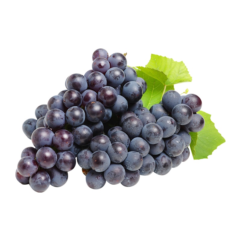鲜贝达生鲜 江苏丁庄无籽夏黑葡萄3斤净重 新鲜时令大黑葡萄产地直发