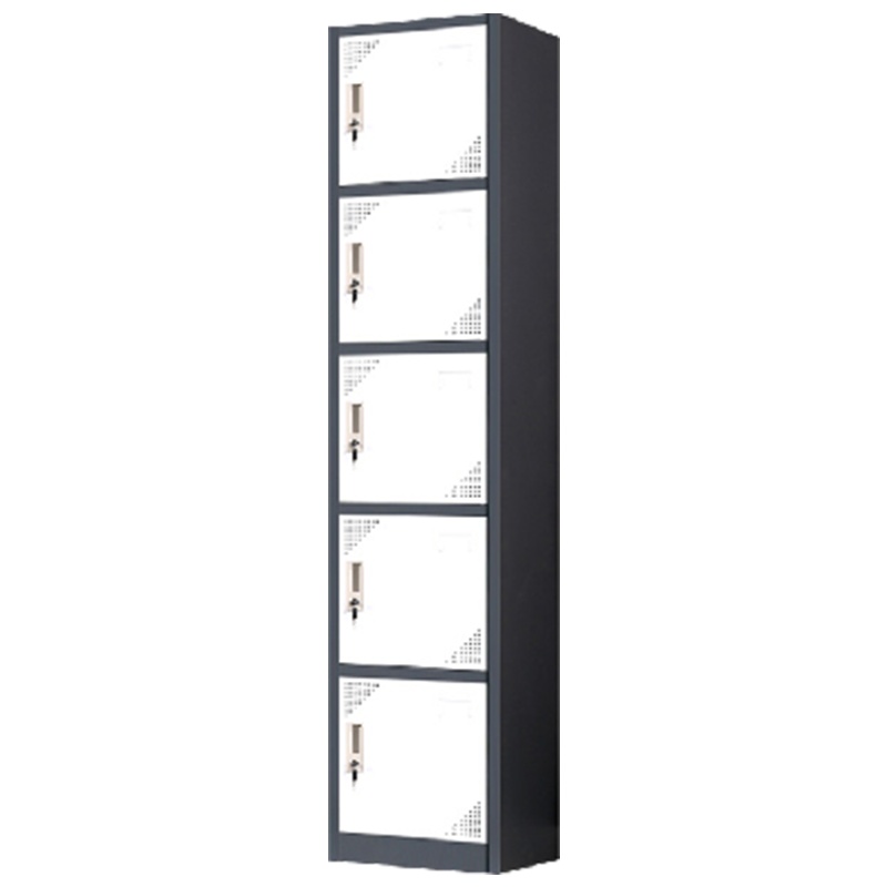 慧采云 办公家具钢制套色单列5门更衣柜铁皮柜带门锁员工柜换衣柜宿舍存包柜办公柜