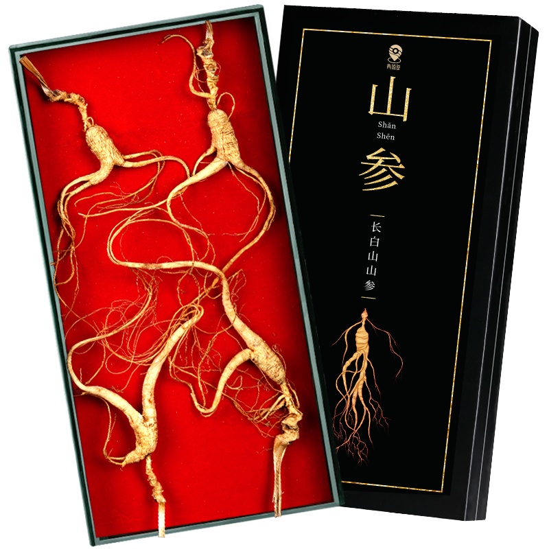 青源堂牌 人参 林下山参 3~4支 20克 健康礼盒 精选长白山山参林下参移山参礼
