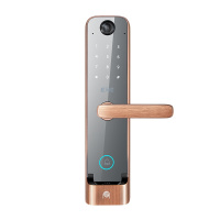 大华乐橙安防套餐指纹锁K5摄像头TP1C智能网关G1火灾探测报警器WS1水浸探测器WL1