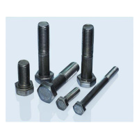 普通螺栓 M16*60 GB/T5781 10个/包